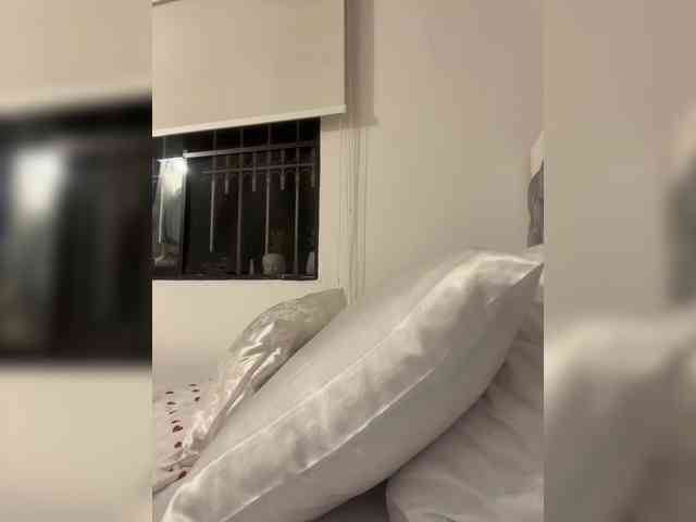 SallyeLeins webcam