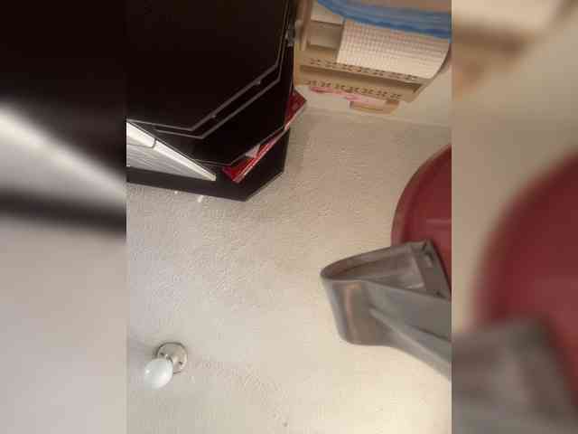 SallyeLeins webcam