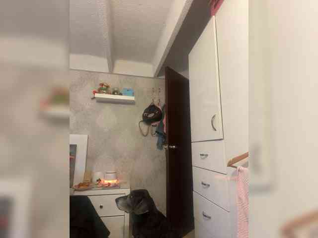 SallyeLeins webcam