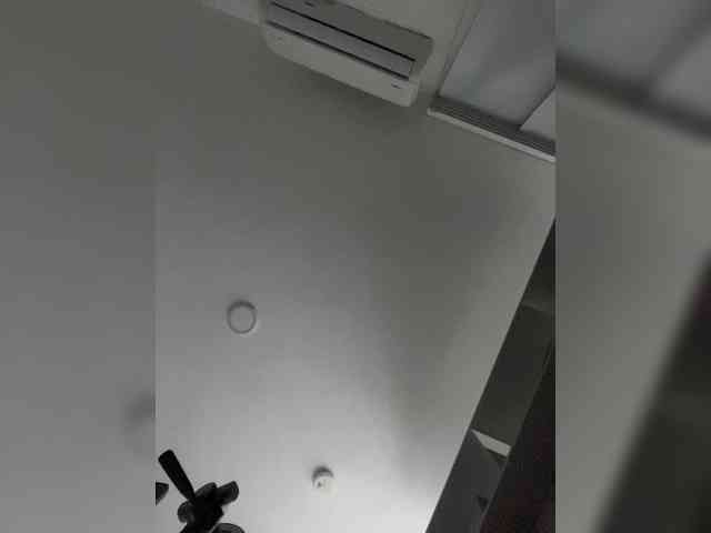 SallyeLeins webcam