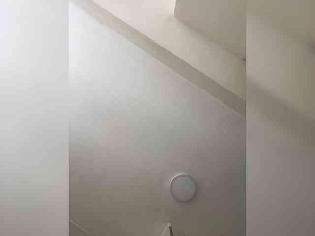 SallyeLeins webcam
