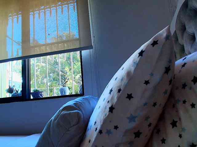 SallyeLeins webcam