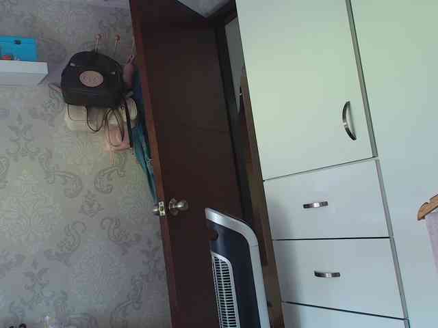 SallyeLeins webcam