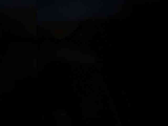 SallyeLeins