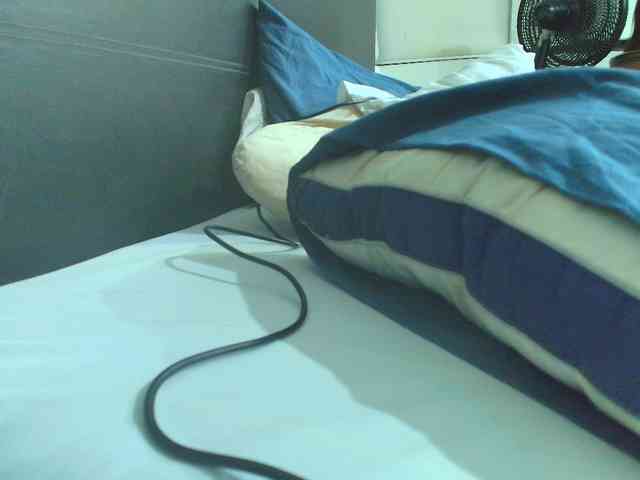 SallyeLeins webcam