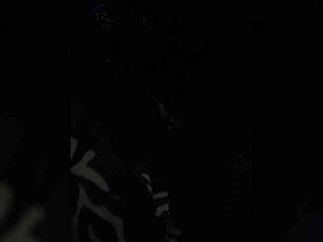 SallyeLeins webcam