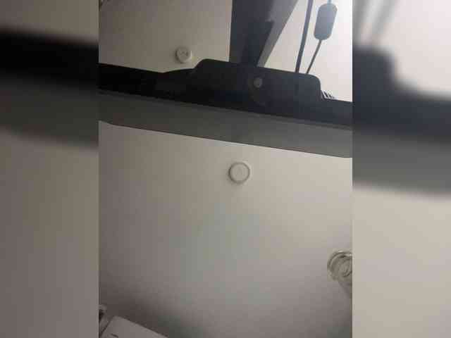 SallyeLeins webcam