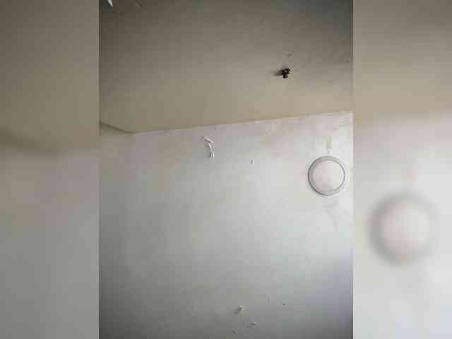 SallyeLeins webcam