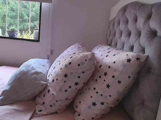 SallyeLeins webcam