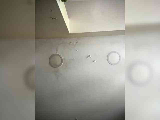 SallyeLeins webcam