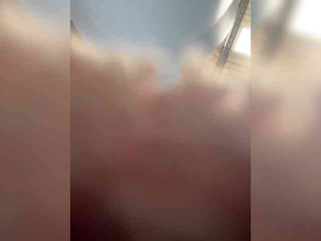 SallyeLeins webcam