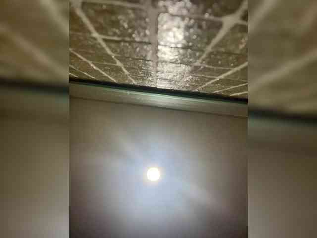 SallyeLeins webcam