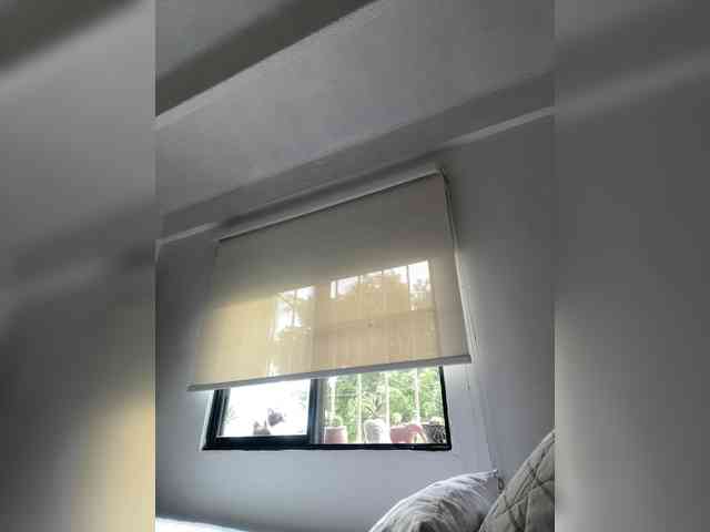 Modelo: SallyeLeins
