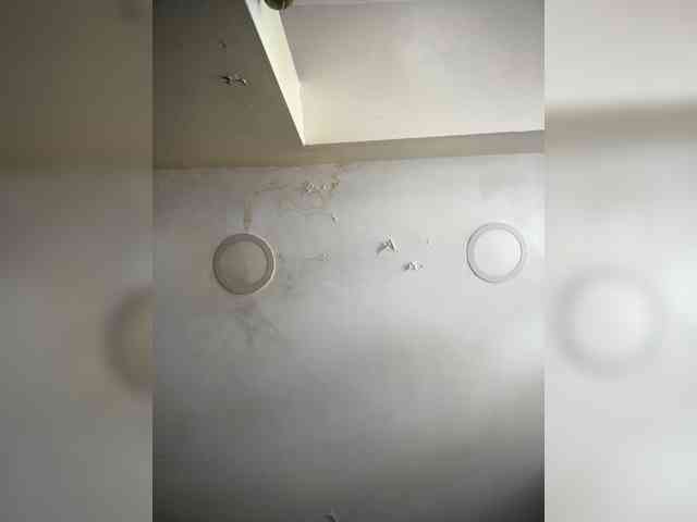 SallyeLeins webcam