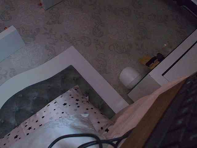 SallyeLeins webcam