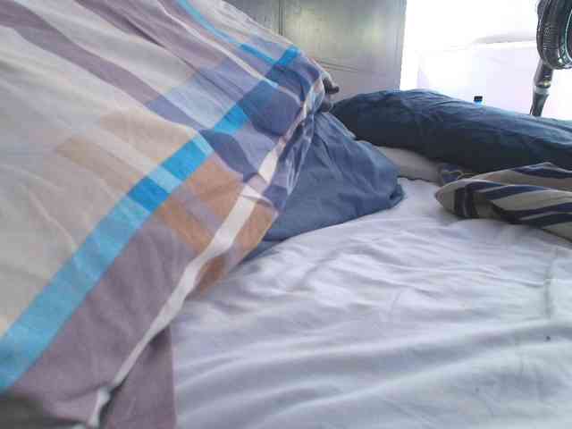 SallyeLeins webcam