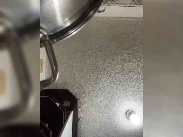 SallyeLeins webcam