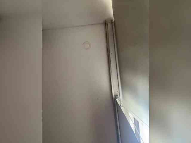 SallyeLeins webcam