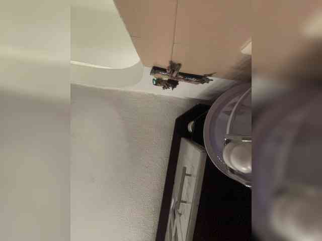 SallyeLeins webcam