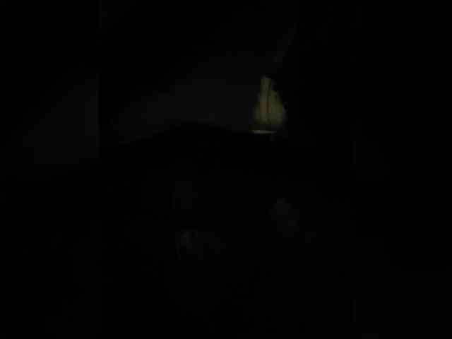 SallyeLeins webcam
