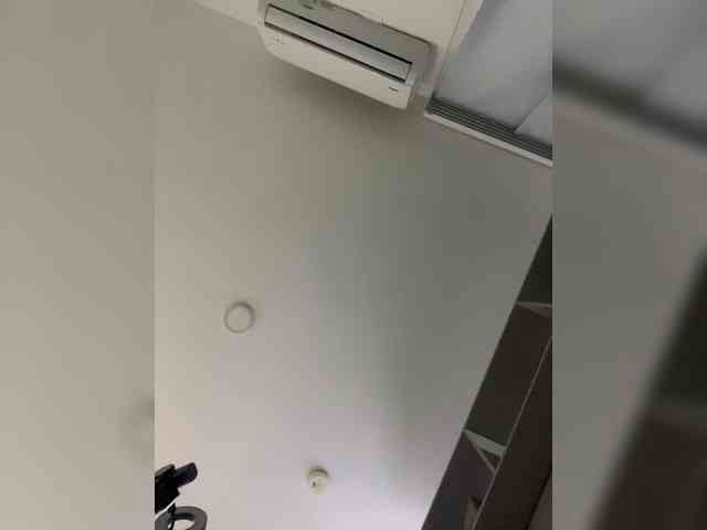 SallyeLeins webcam