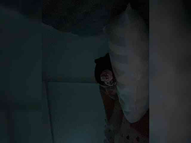 SallyeLeins webcam