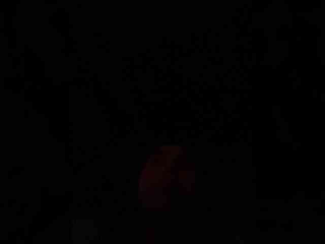 SallyeLeins webcam