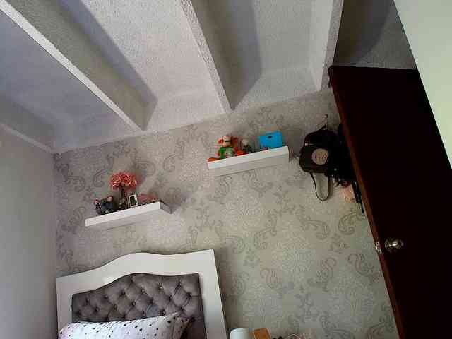SallyeLeins webcam