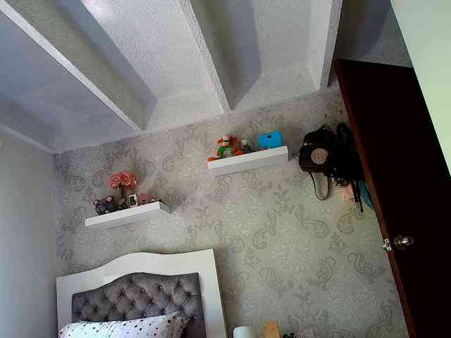 SallyeLeins webcam