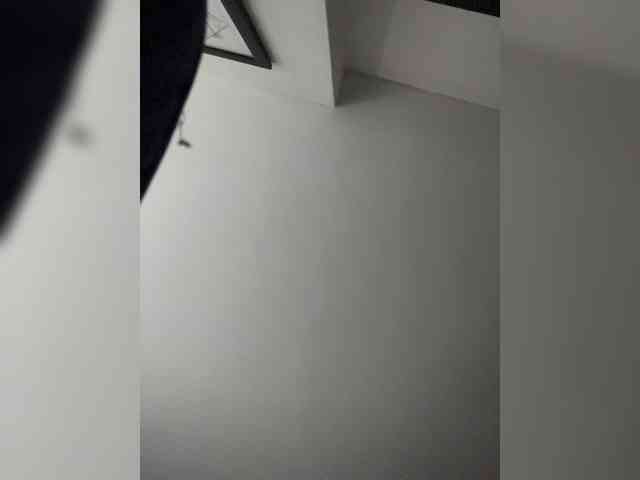 Modelo: SallyeLeins