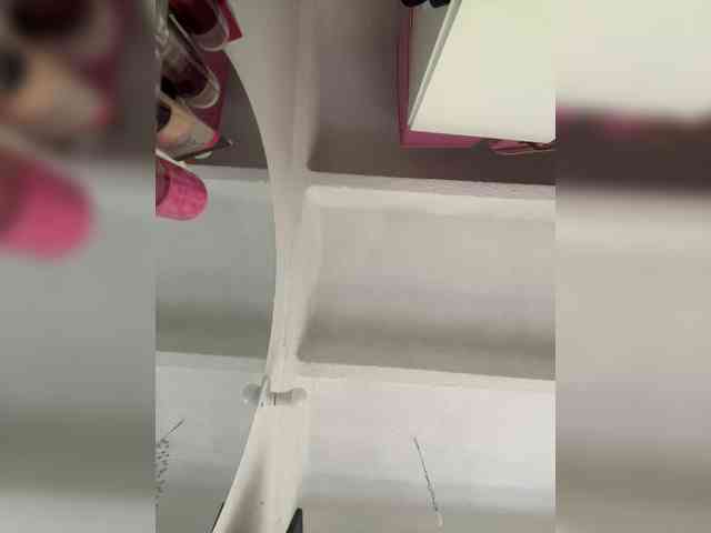 Modelo: SallyeLeins