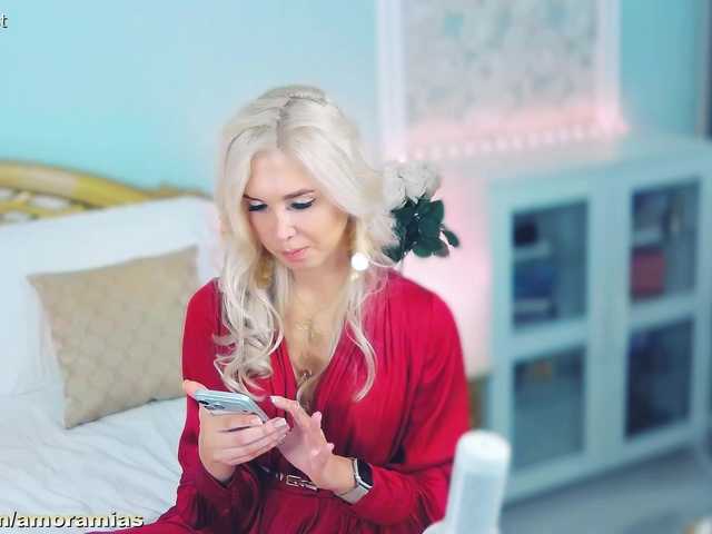 go to chat with Amoramias
