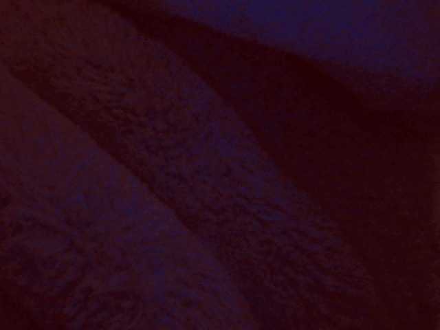 belleblondx live cam on BongaCams