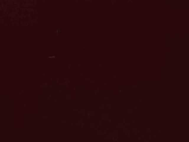belleblondx live cam on BongaCams