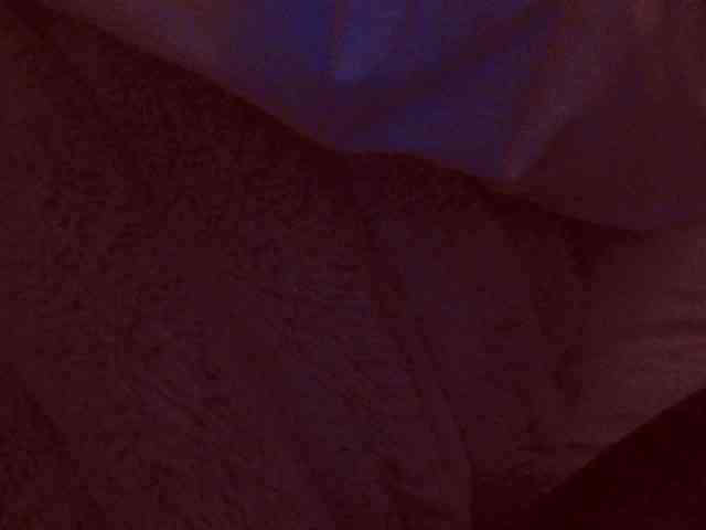 belleblondx webcam
