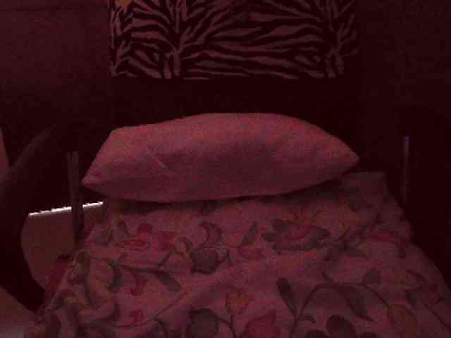belleblondx webcam