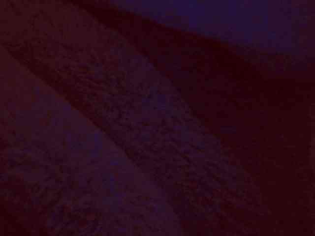 belleblondx webcam