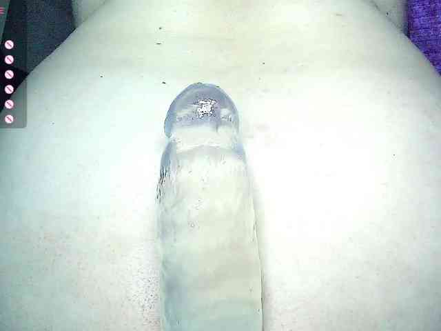 -WINNI-PUX-