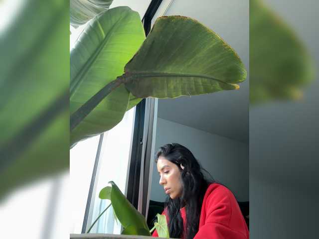 juanita-fox's BongaCams show and profile