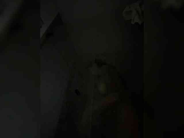 Juanita-Fox webcam