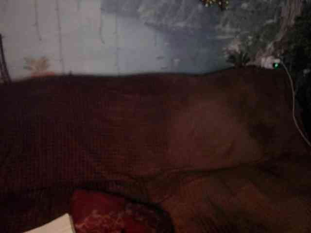 Lori20 webcam