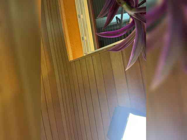 _Noele__ webcam