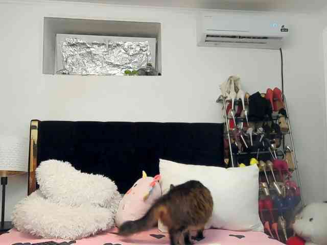 JuliaHayes webcam