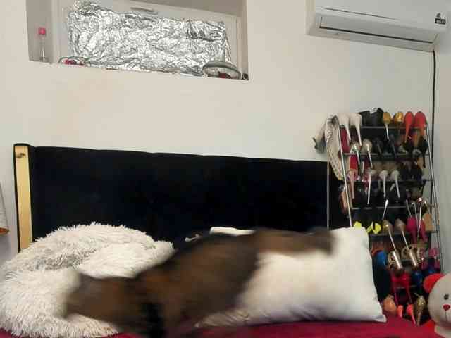 JuliaHayes90 Live Webcam on BongaCams