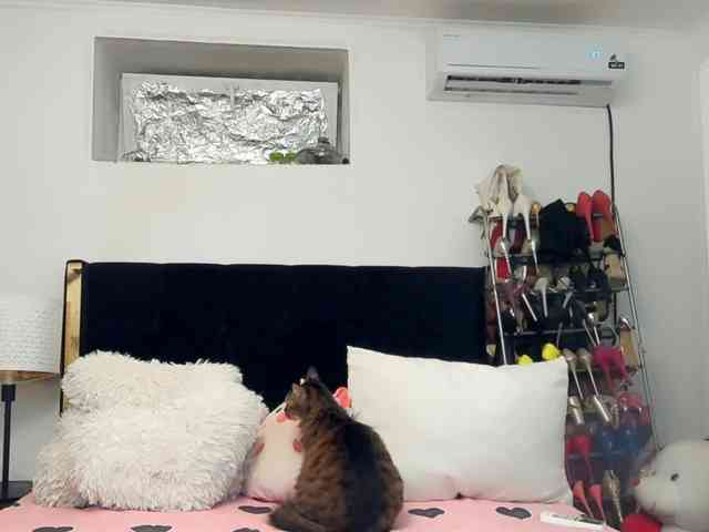 JuliaHayes webcam