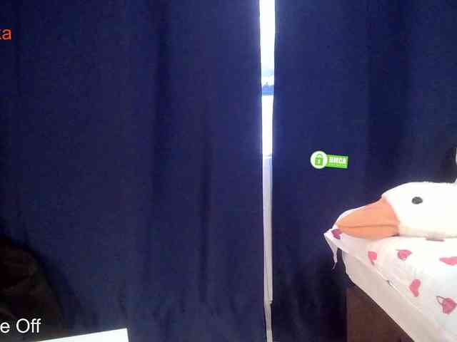 _Desirable_ webcam