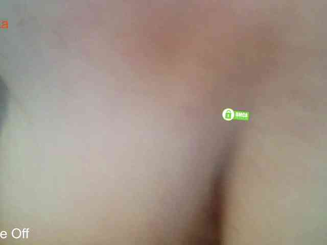 _Desirable_ webcam