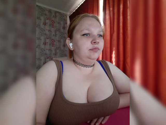Irinkakissa