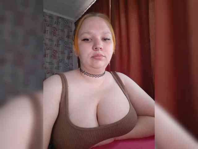 Irinkakissa
