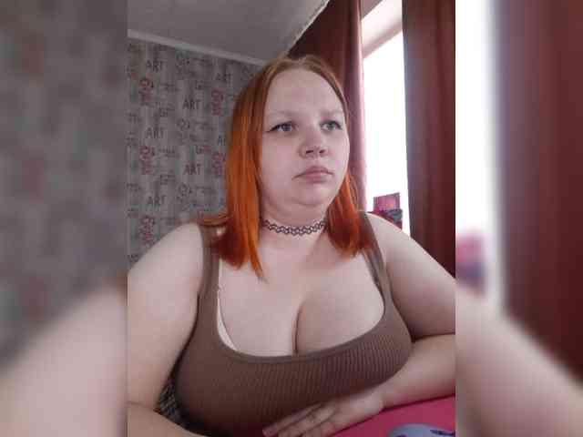 Modelo: -MeooW-